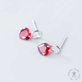 EARINGS-MODEL 009